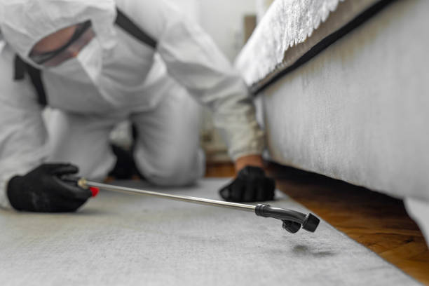 Professional Bed Bug Control technician working in Beechwood, MI